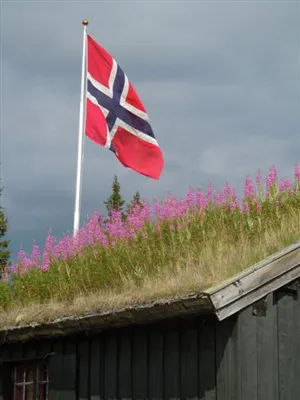 Bilde fra livet